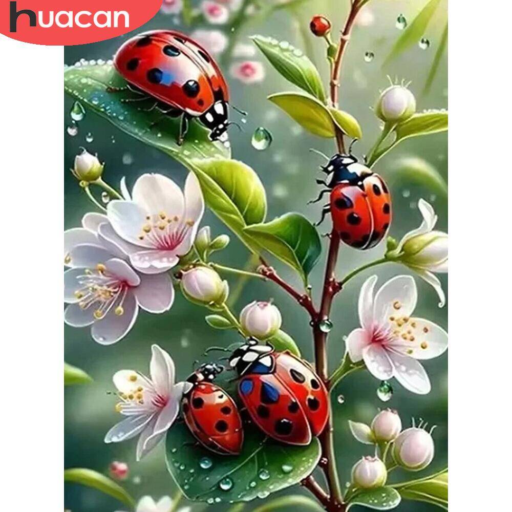 HUACAN 5d Diamond Painting Lad - Embroidery Lady Bug review and price